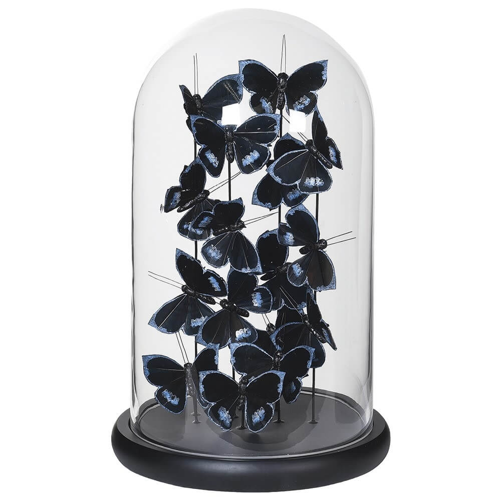 Showing image for Black & silver feather butterfly display dome