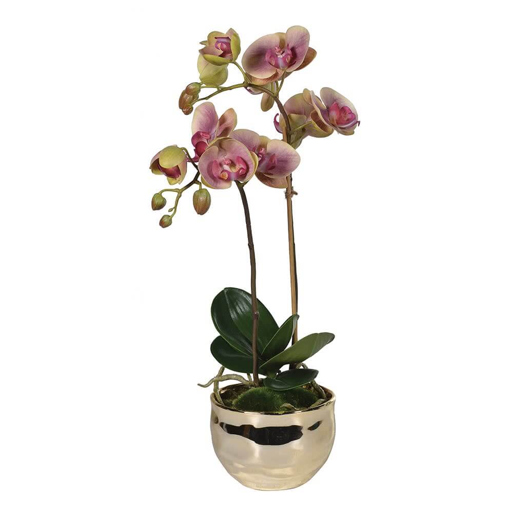 Showing image for Dusky pink orchid in metallic ceramic pot